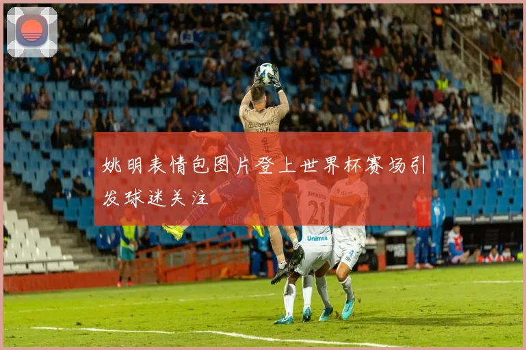 姚明表情包图片登上世界杯赛场引发球迷关注